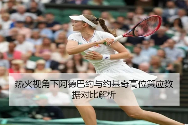 热火视角下阿德巴约与约基奇高位策应数据对比解析